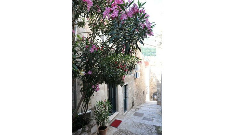 Apartment Crijevićeva ulica Dubrovnik - Apt 20772