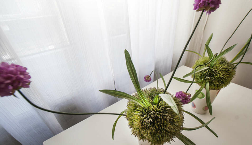 Apartment Čubrina Beograd