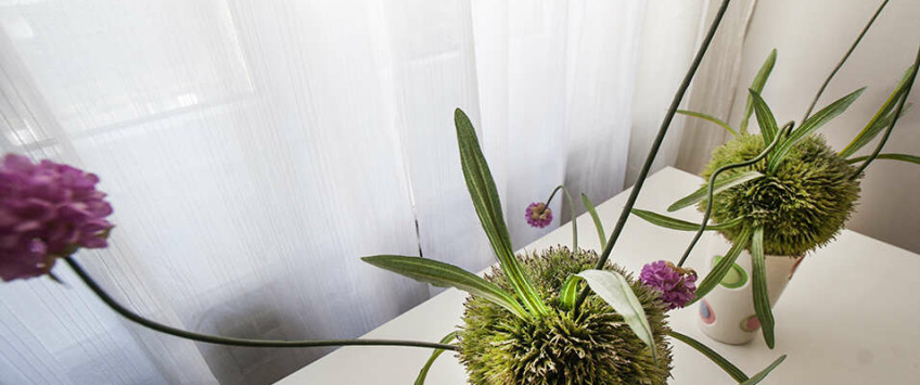 Apartment Čubrina Beograd