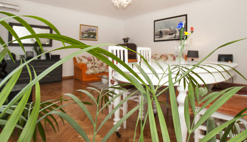 Apartment Čubrina Beograd