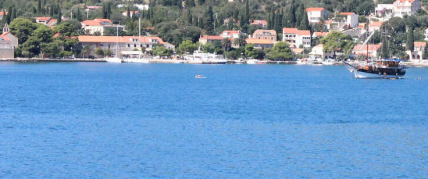 Apartment D8_4 Dubrovnik - Apt 36701