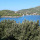 Apartment D8_4 Dubrovnik - Apt 36701
