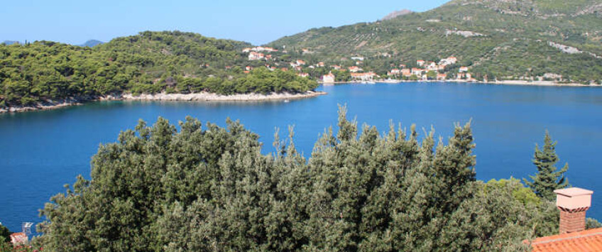 Apartment D8_4 Dubrovnik - Apt 36701