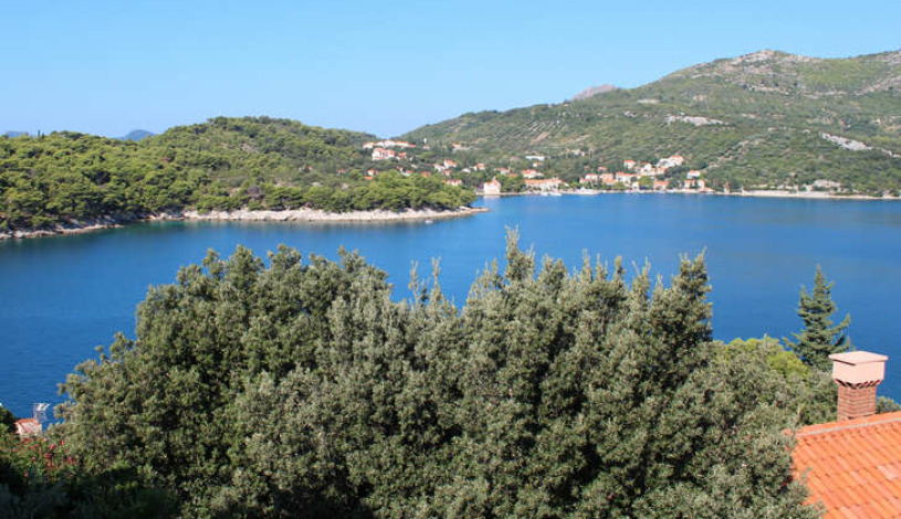 Apartment D8_5 Dubrovnik - Apt 36703