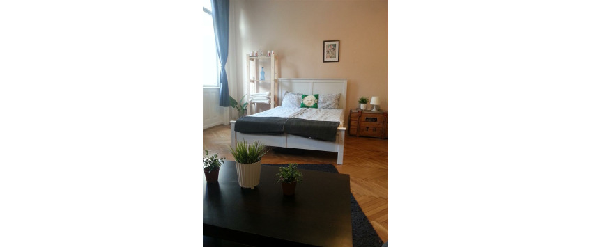 Apartment Damjanich utca Budapest - Apt 32848