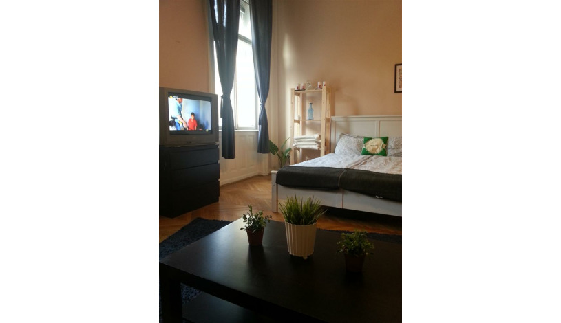 Apartment Damjanich utca Budapest - Apt 32848