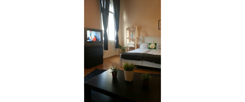 Apartment Damjanich utca Budapest - Apt 32848