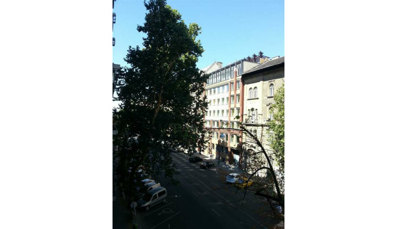 Apartment Damjanich utca Budapest - Apt 32848