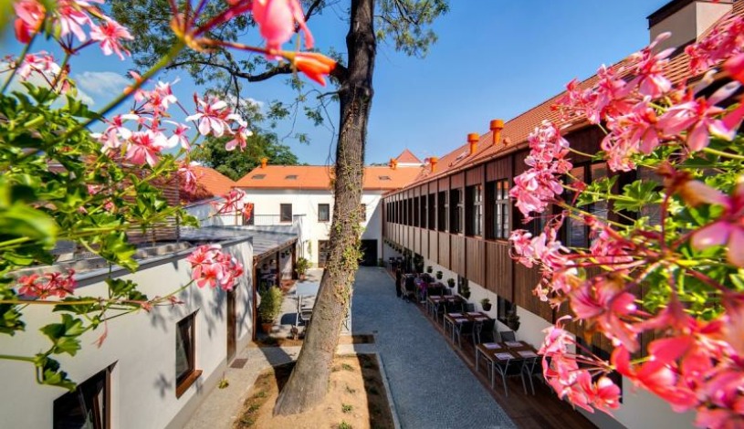 Darwin Hotel Restaurant Praha
