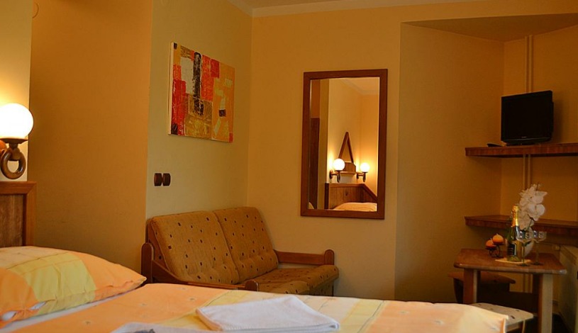 David wellness hotel Harrachov - Dvoulůžkový pokoj 2/1