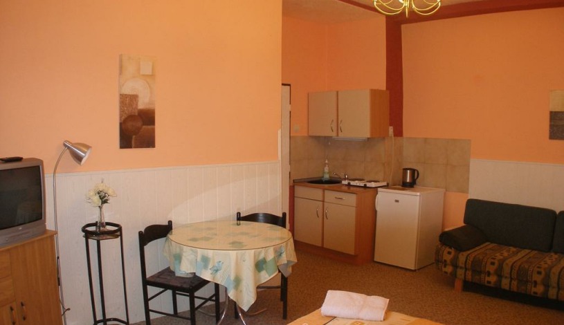 Residence Davids Krizikova Praha