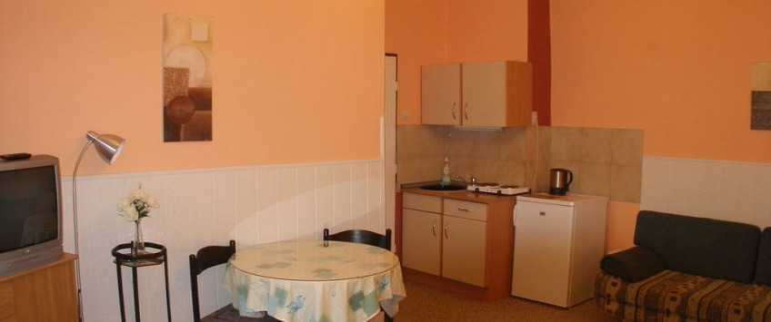 Residence Davids Krizikova Praha