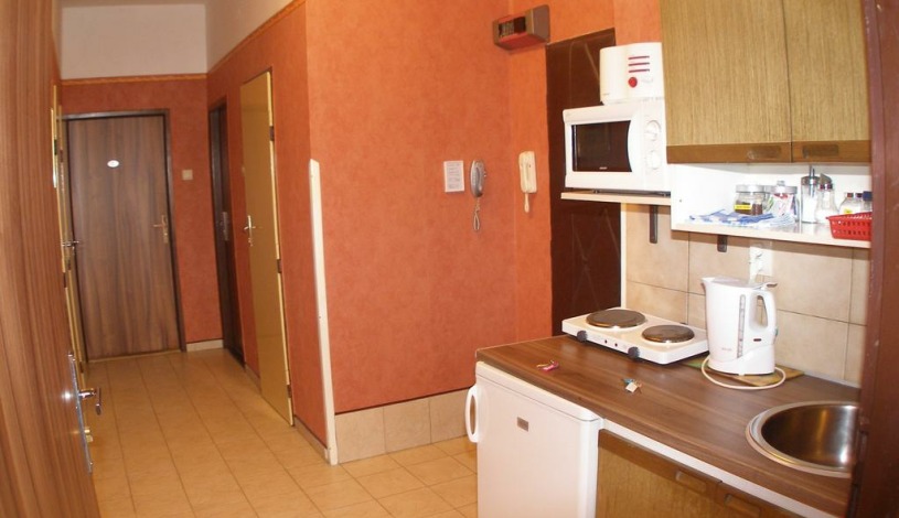 Residence Davids Krizikova Praha