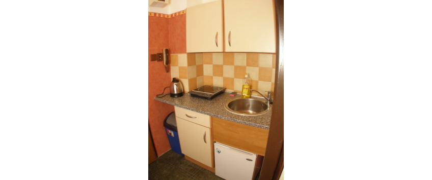 Residence Davids Krizikova Praha - Studio kleine