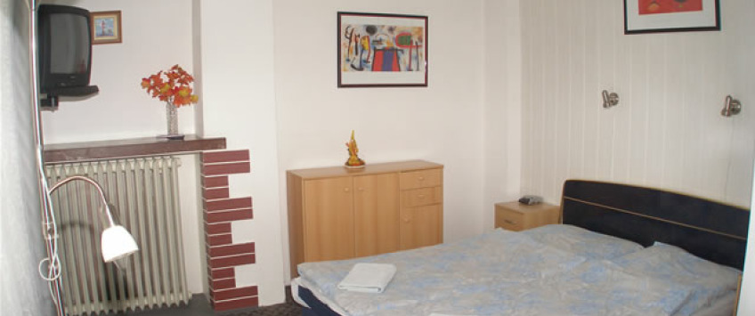 Residence Davids Krizikova Praha - Studio