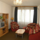 Apartment (2 rooms+kitchen) - Residence Davids Krizikova Praha