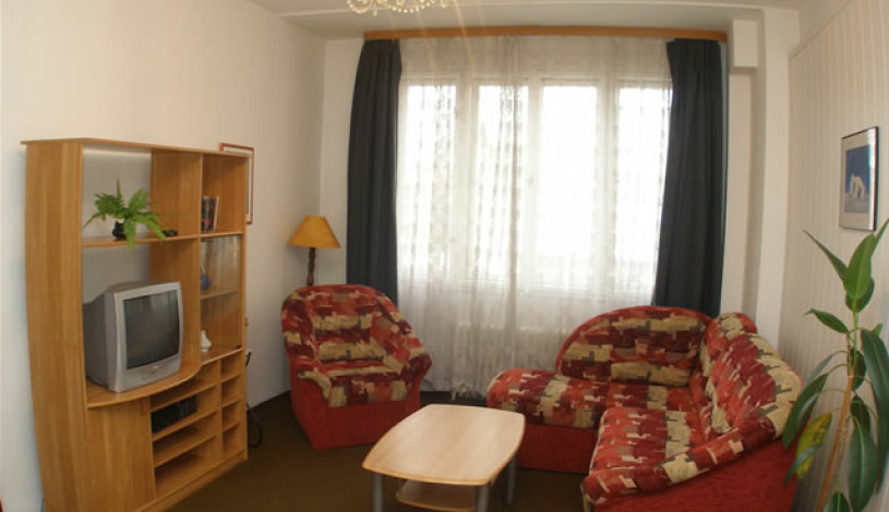 Residence Davids Krizikova Praha - Apartment (2 rooms+kitchen)
