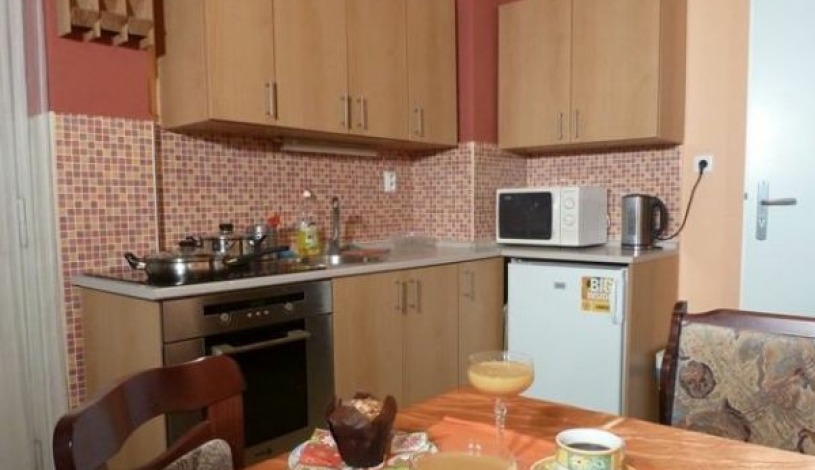 Residence Davids Krizikova Praha - Apartment (3 rooms+kitchen)