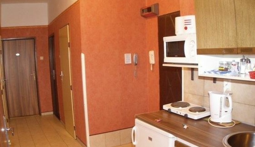 Residence Davids Krizikova Praha - Apartment (3 rooms+kitchen)