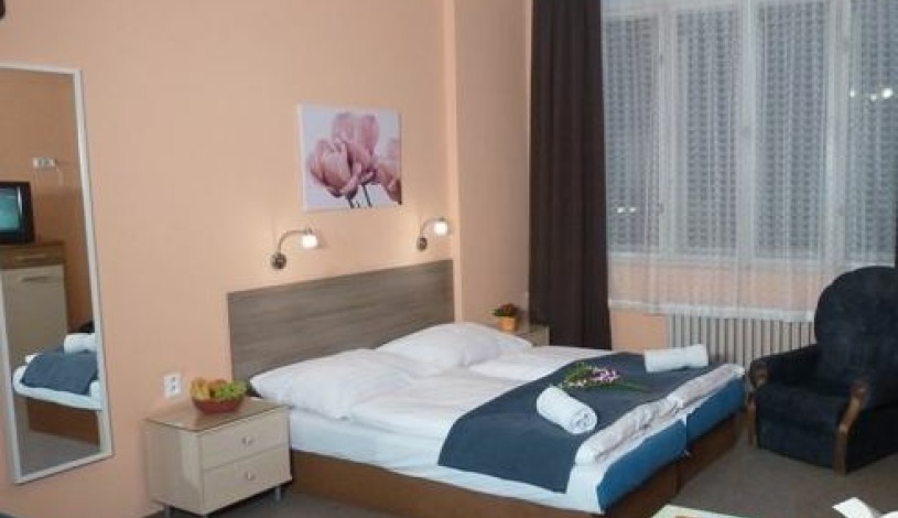 Residence Davids Krizikova Praha - Apartment (2 rooms+kitchen)