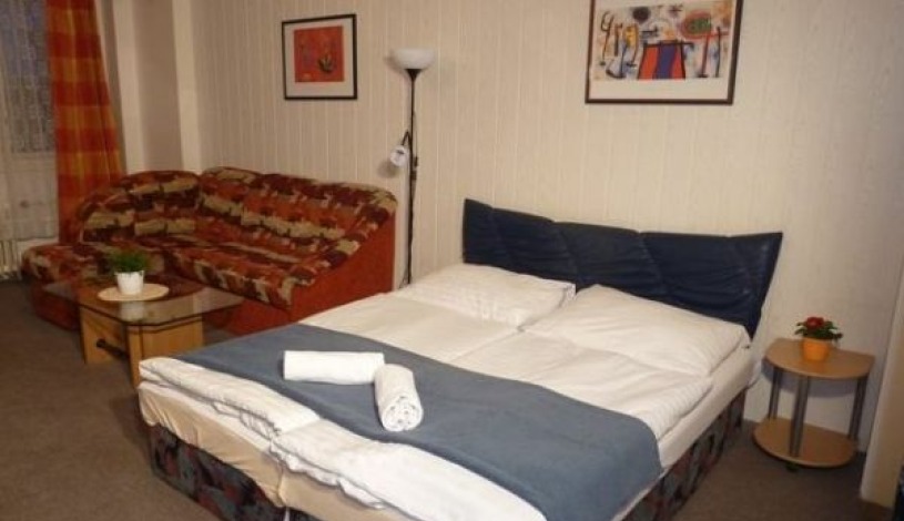 Residence Davids Krizikova Praha - Apartment (2 rooms+kitchen)
