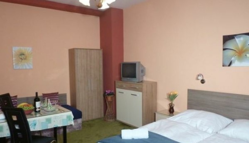 Residence Davids Krizikova Praha - Apartment (3 rooms+kitchen)