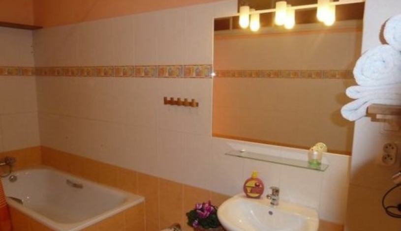 Residence Davids Krizikova Praha - Apartment (3 rooms+kitchen)