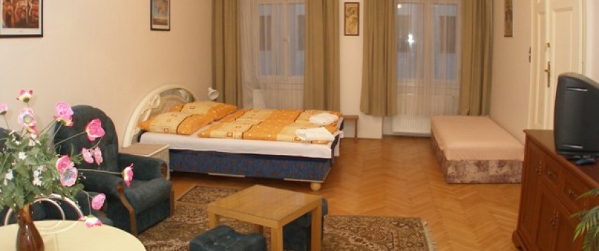 Davids Appartements Stepanska Praha - Appartement