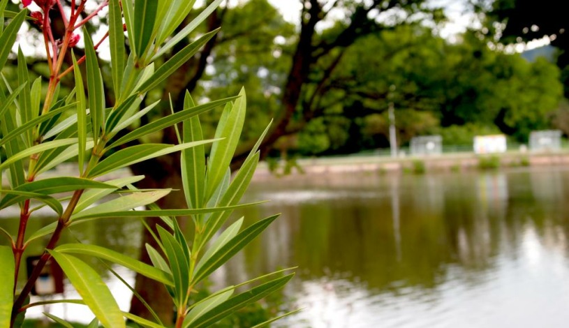 Hotel Faust Děčín