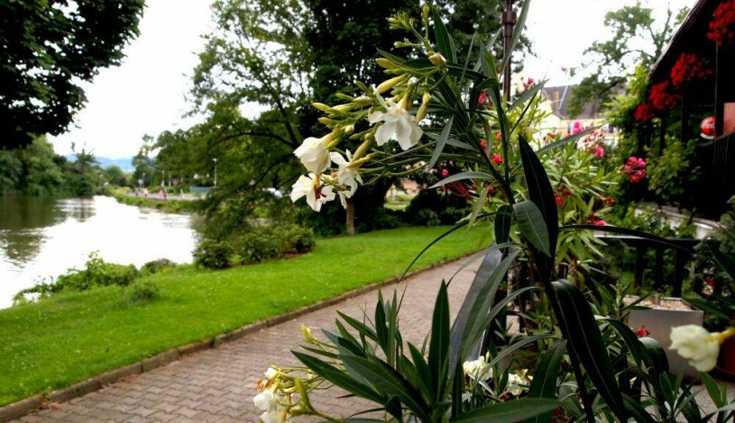 Hotel Faust Děčín