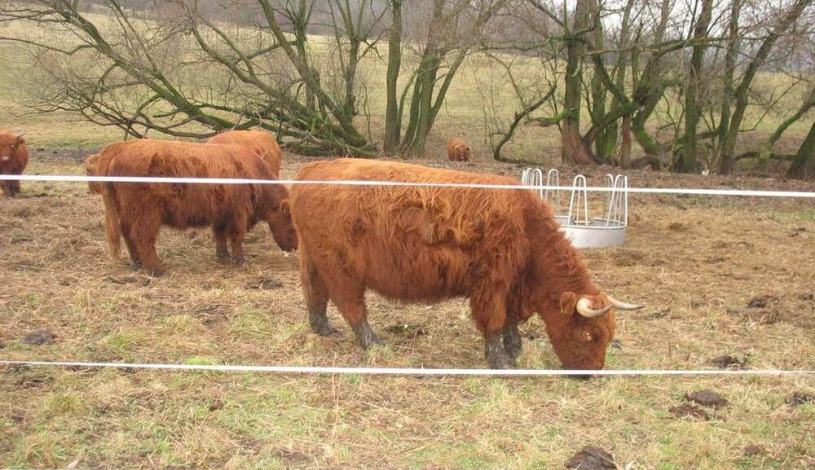 Hotel Kovárna Děčín