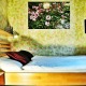 Jednolůžkový / Dvoulůžkový mini bez terasy - Design hotel RomantiCK Třeboň