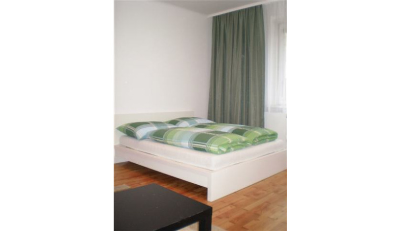 Apartment Diehlgasse Wien - Apt 17636