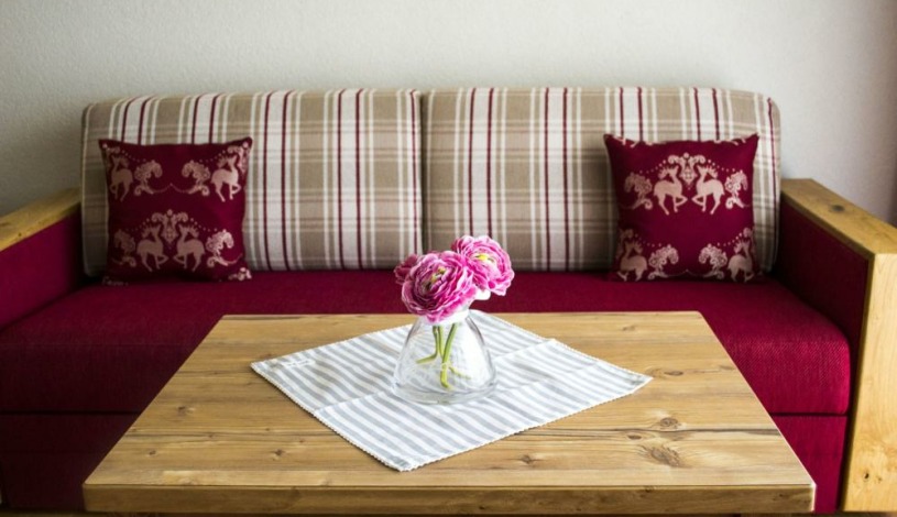 Villa Resort Dlouhá louka České Budějovice - Studio s výhledem na bazén