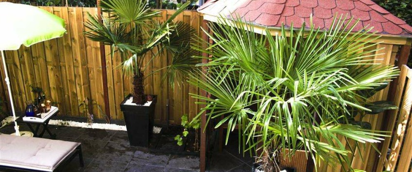 Apartment Domselaerstraat Amsterdam - Apt 24484