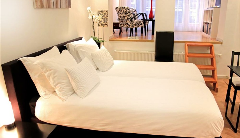 Apartment Domselaerstraat Amsterdam - Apt 24485