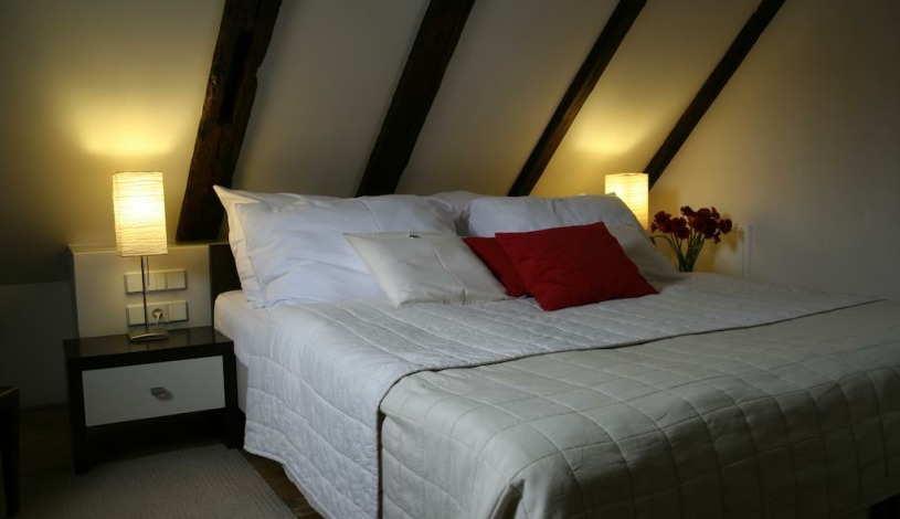 Hotel Domus Balthasar Praha - Double room
