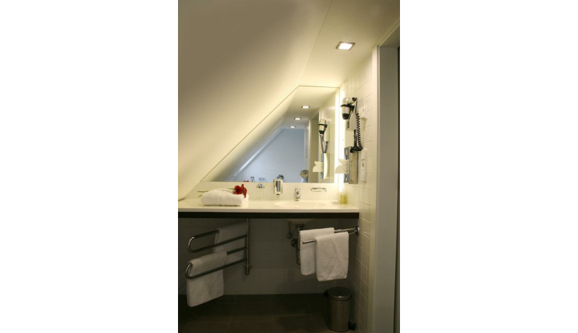 Hotel Domus Balthasar Praha - Double room