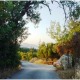 Apt 31950 - Apartment Douliana Village Crete