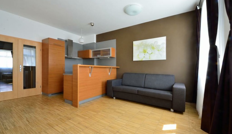 EA Downtown Suites Praha