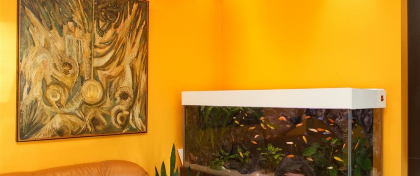 Apartment Drinčićeva Beograd - Apt 23606