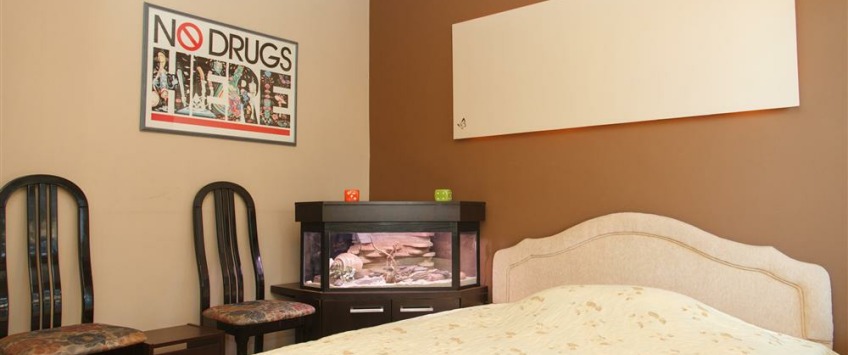 Apartment Drinčićeva Beograd - Apt 23606