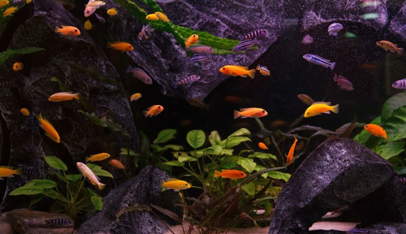 Apartment Drinčićeva Beograd - Apt 23606