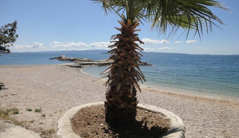 Apartment Drvenička ulica Split - Apt 22568