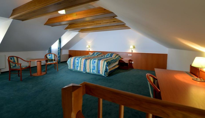 HOTEL DVOŘÁK **** České Budějovice
