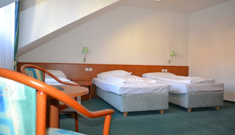 HOTEL DVOŘÁK **** České Budějovice