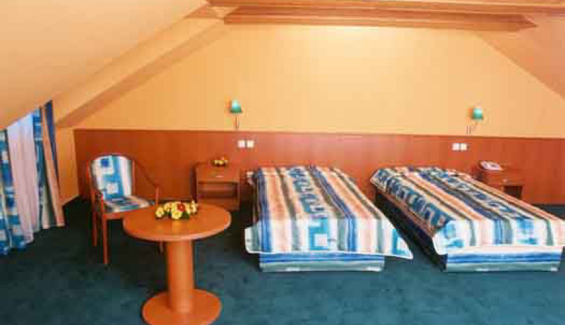 HOTEL DVOŘÁK **** České Budějovice - Dvoulůžkový