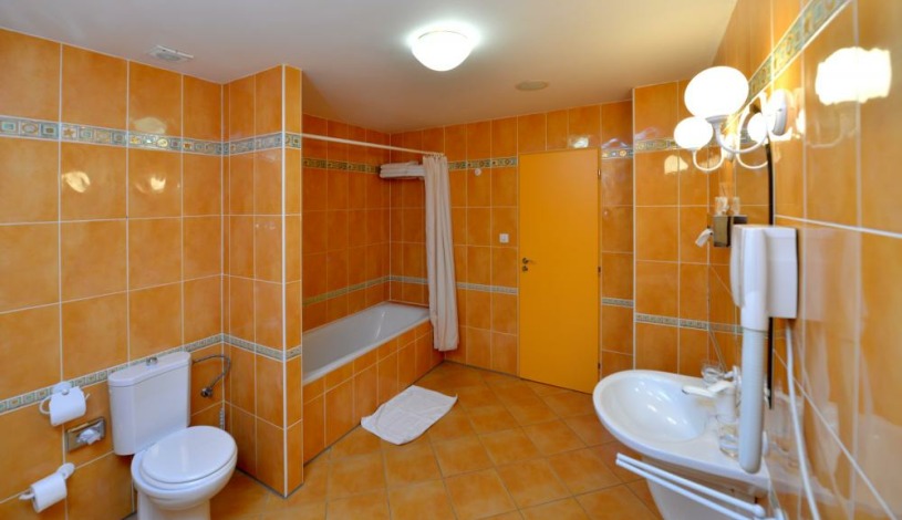 HOTEL DVOŘÁK **** České Budějovice