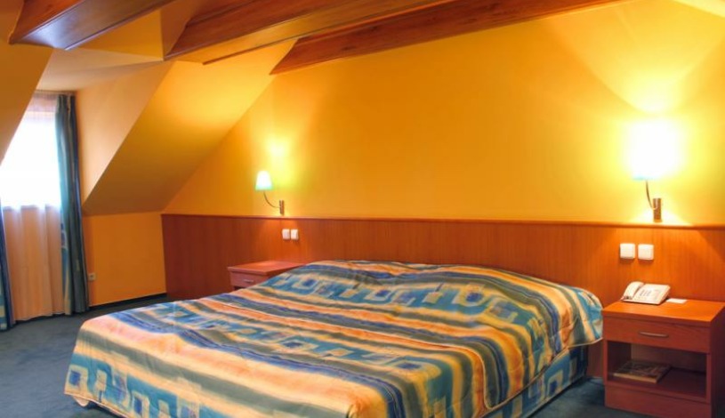 HOTEL DVOŘÁK **** České Budějovice - Rodinný pokoj