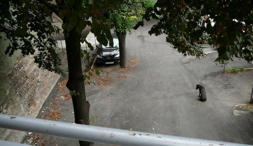 Apartment Džordža Vašingtona Beograd - Apt 47127